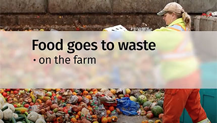 Canadians get creative in solving food waste problem